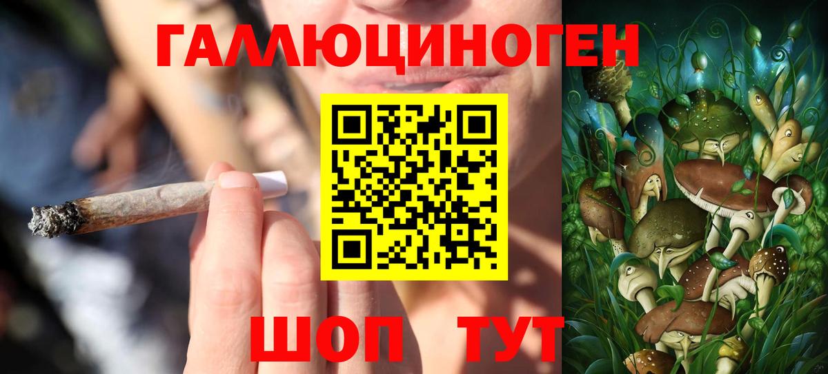 Псилоцибиновые грибы GOLDEN TEACHER Ликино-Дулёво