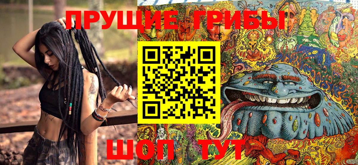 Галлюциногенные грибы Psilocybine cubensis  Галлюциногенные грибы Psilocybe  Ликино-Дулёво  Вход с VPN 